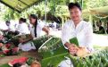 Rotuma ladies serving the banquet